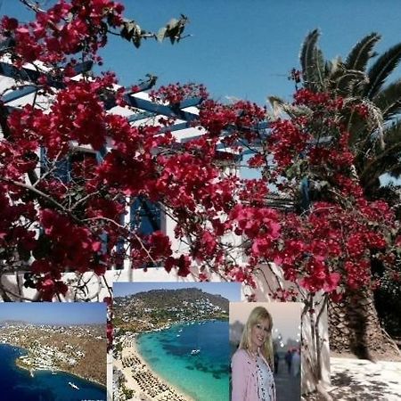 Magical Ornos! Beach House!Beach 1' Walk-Mykonos Town 2Km Εξωτερικό φωτογραφία