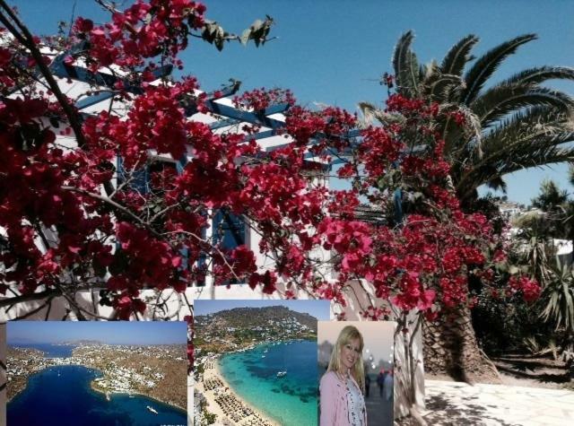 Magical Ornos! Beach House!Beach 1' Walk-Mykonos Town 2Km Εξωτερικό φωτογραφία